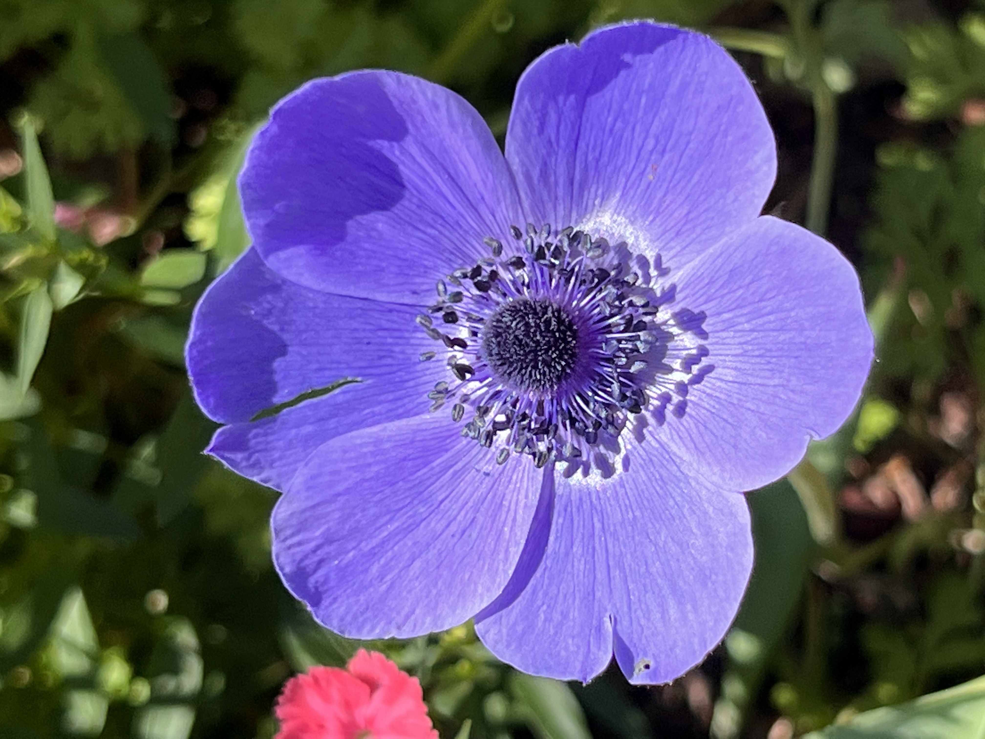 ./2023/05 - Toni Adventures/IMG_3238.JPG